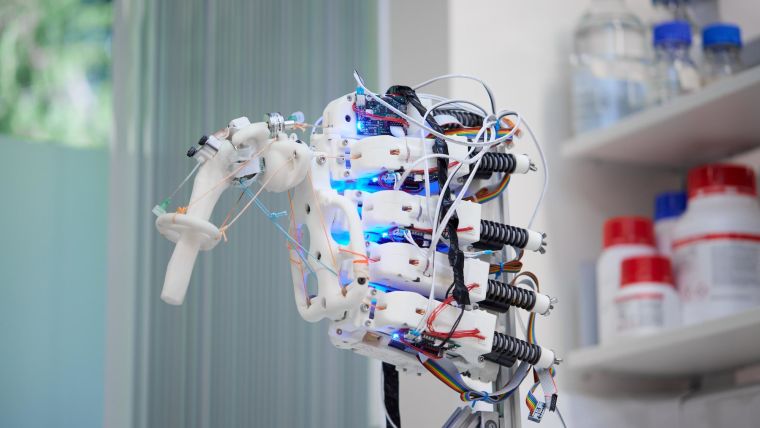 The humanoid robotic bioreactor at NDORMS