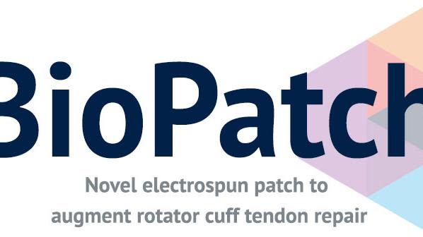 A novel electrospun patch to augment rotator cuff tendon repair