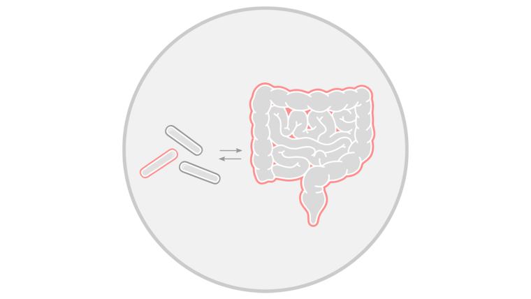 Host-microbiome interactions in gut pathology icon