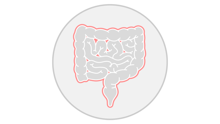 Human inflammatory bowel disease icon