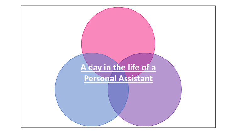 Graphic of 'Day in the life of a PA'